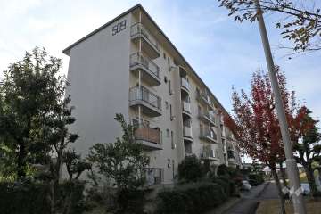 岩成台西団地509号棟の外観（北東側から）