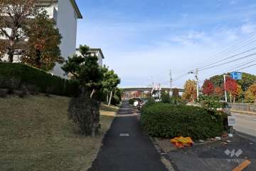 敷地東側の前面道路