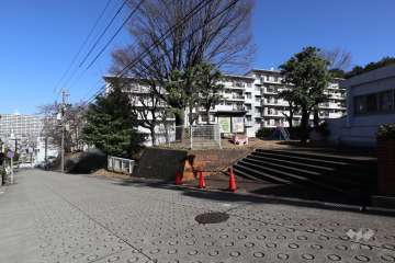 敷地西側の前面道路（南側から）