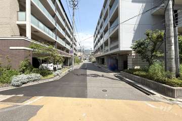 敷地東側の前面道路（南側から）