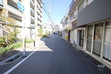 敷地南側の前面道路(西側から)