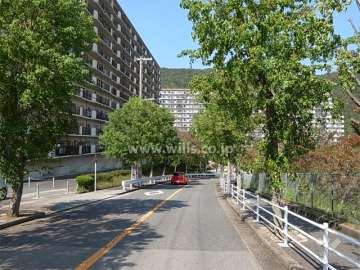 敷地南東側の前面道路。街路樹のきれいな通りです。