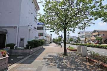 敷地北側の前面道路（東側から）