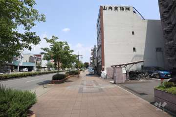 敷地北側の前面道路（西側から）