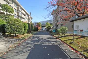 敷地北側の前面道路