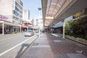 敷地西側の前面道路（南側から）