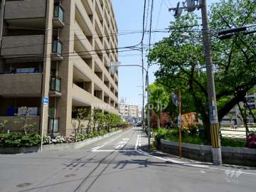 敷地南側の前面道路。道を挟んで『穂波公園』があります。
