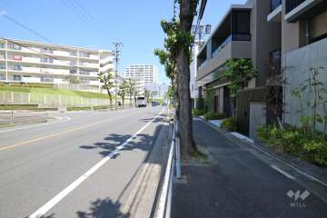 敷地西側の前面道路（南側から）