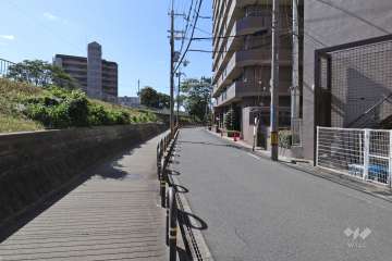 敷地東側の前面道路
