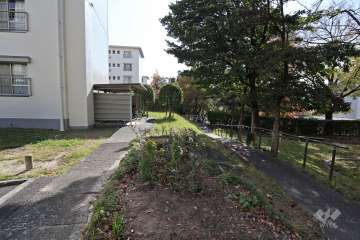 敷地内の植栽スペース