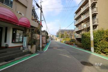 敷地東側の前面道路（南側から）