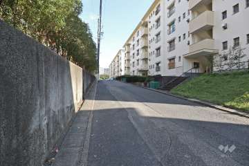敷地北側の前面道路