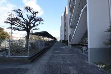 敷地内の通路