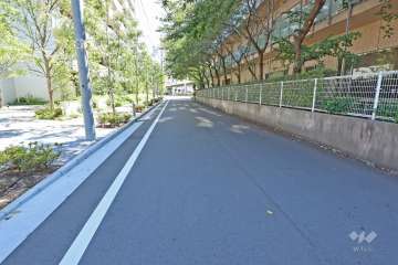 敷地西側の前面道路（北側から）