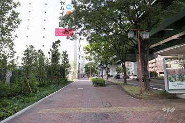 敷地東側の前面道路（南側から）