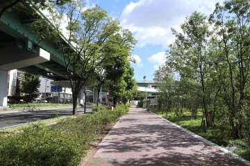 敷地東側の前面道路（北側から）