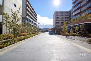 敷地東側の前面道路（北側から）