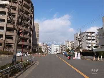 敷地東側の前面道路。二車線の街路樹がきれいな通りです。