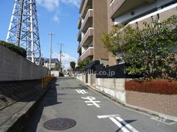 敷地南側の前面道路（東側から）