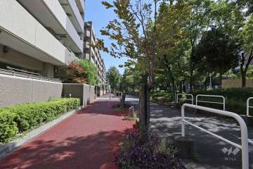 敷地南側の前面道路（西側から）