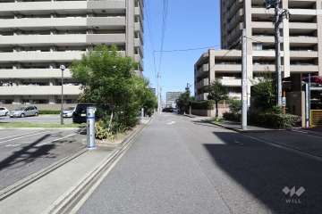 敷地東側の前面道路（北側から）