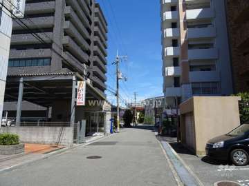敷地南側の前面道路（西側から）