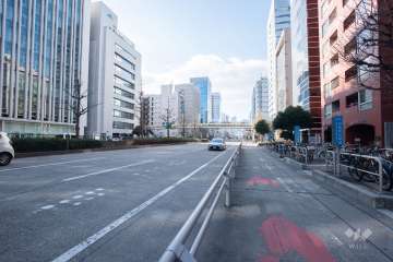 敷地南側の前面道路（桜通）