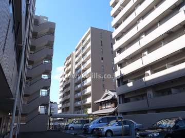 ステイツ江坂ブランスールの遠景。周辺はマンションが多く立ち並ぶ住宅地です。