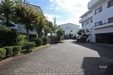 建物北側の通路