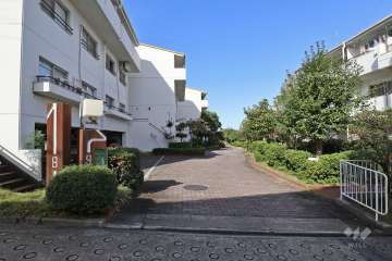 建物北側の通路