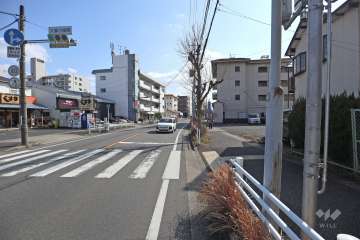 敷地東側の前面道路（北側から）