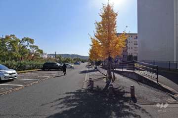 敷地東側の前面道路