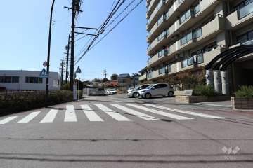 敷地南側の前面道路（東側から）