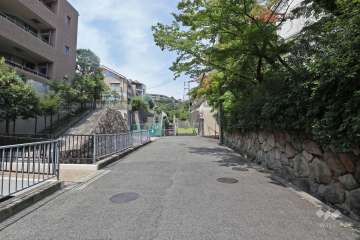 敷地東側の前面道路（南側から）