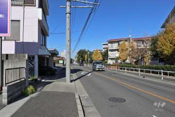 敷地南西側の前面道路（南側から）
