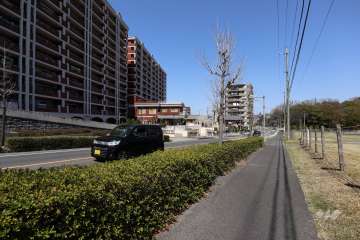 敷地南東側の前面道路（南西側から）