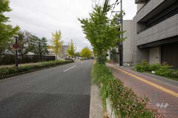 敷地西側の前面道路