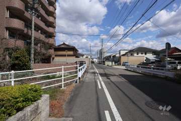 敷地南側の前面道路（西側から）