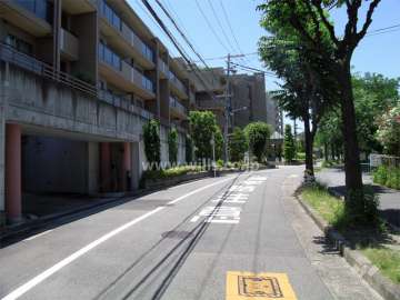 敷地の前面道路。
