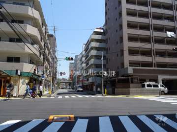 敷地北側の前面道路（西側から）