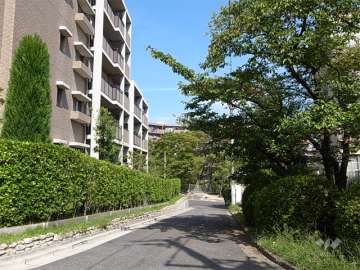 敷地東側の道路。