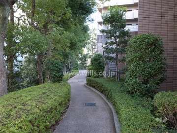 敷地内の通路。