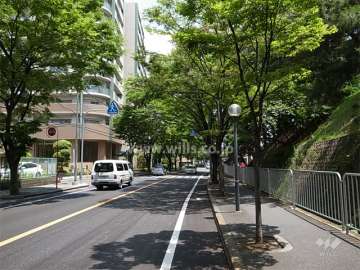 敷地南東側の前面道路。交通量はありますが、街路樹のきれいな通りです。