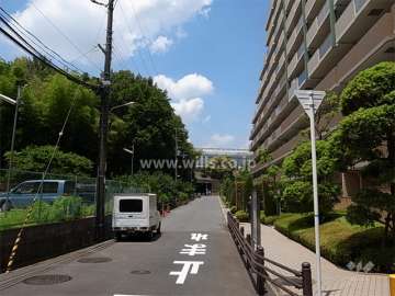 敷地西側の前面道路。突き当たりには、名神高速を挟んで、万博記念公園があります。