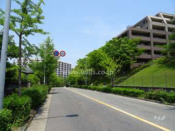敷地北西側の前面道路