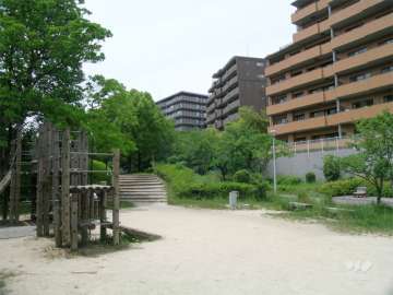 敷地の南側には池と公園が広がっています。