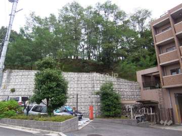マンションの北側には片山公園の緑が生い茂っています