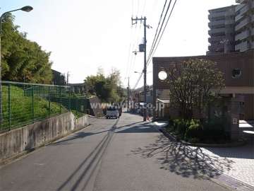 敷地北東側、エントランス前の道路。