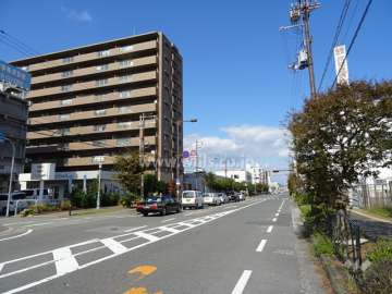 敷地南東側の前面道路。通称フラワーロードです。