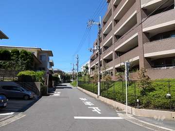 敷地南西側の前面道路。南西側には一戸建て街が広がっています。